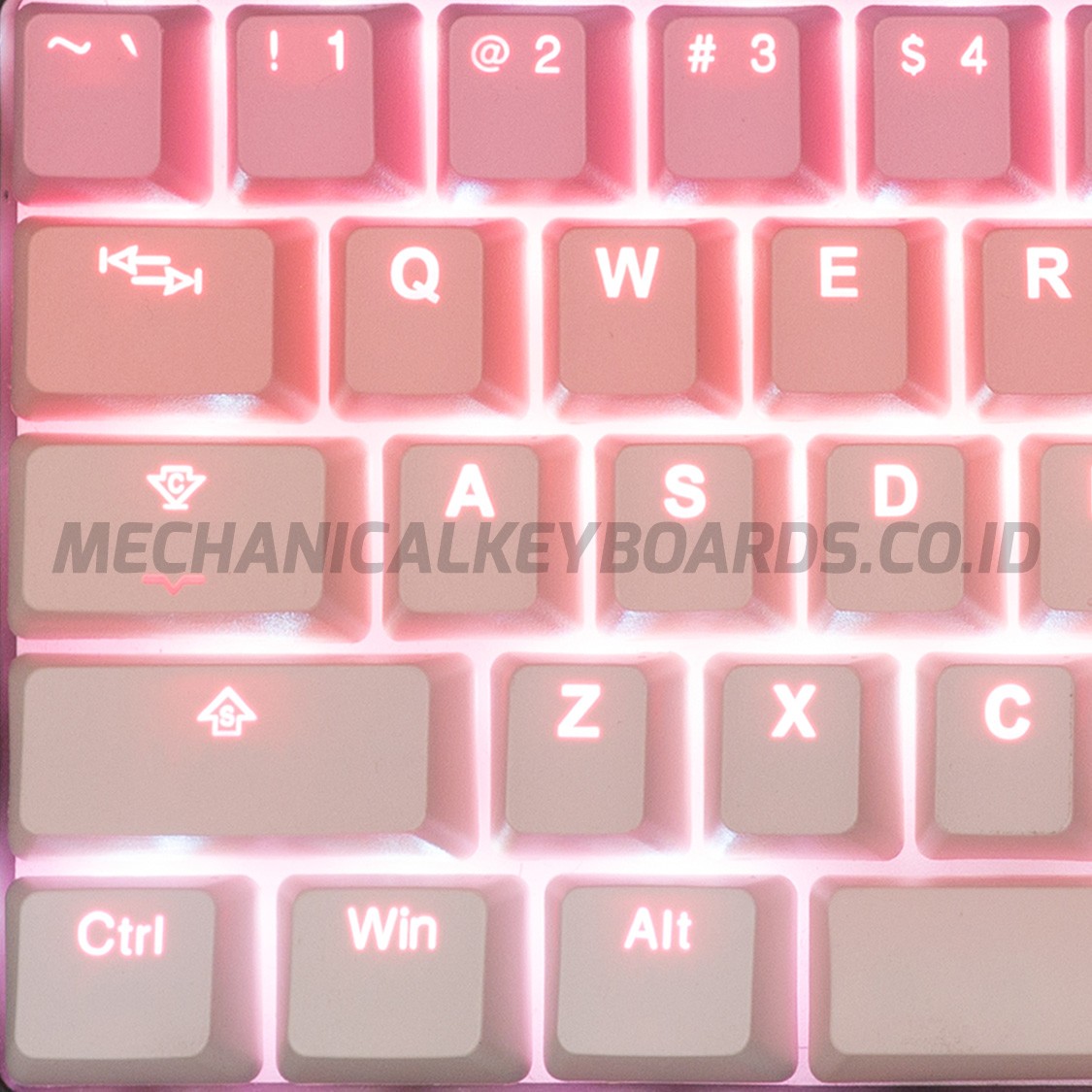 Tai Hao Sakura Michi Pbt Double Shot Backlit Keycap Set Idr 1 050 000 Description Oem Profile Pbt Double Shot 140 Keycap Set Add To Cart See Full Details Tai Hao Sakura Michi Pbt Double Shot Backlit Keycap Set Idr 1 050 000 Description Oem Profile Pbt Double Shot 140 Keycap Set Add To Cart See Full Details